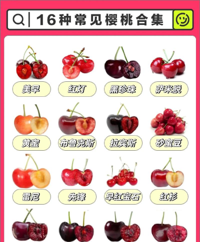 国产车厘子几月份成熟