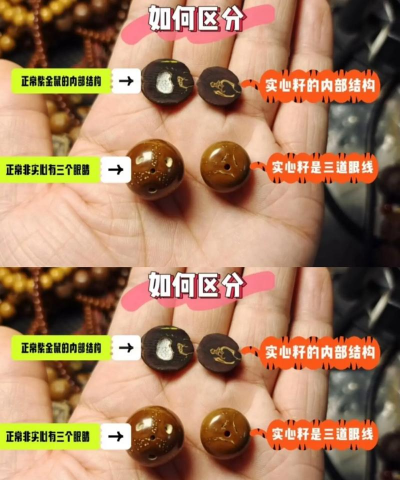 紫金鼠实心籽和空心籽的区别