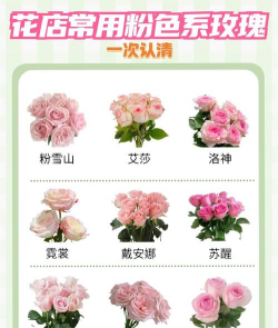 小众送妈妈的花有哪些花