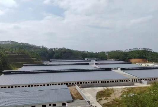 小众送妈妈的花有哪些花