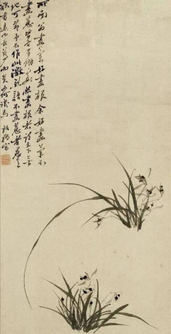 小众送妈妈的花有哪些花