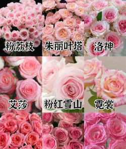 小众送妈妈的花有哪些花