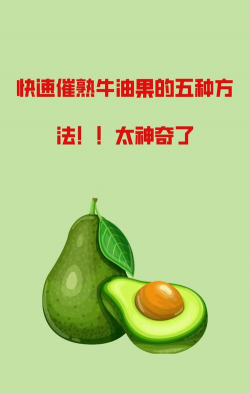 牛油果催熟的方法