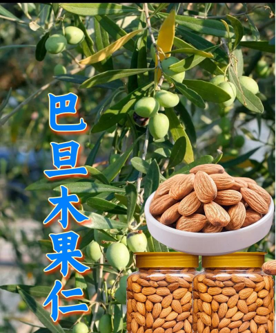 新疆巴旦木是什么果实