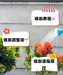 小众送妈妈的花有哪些花