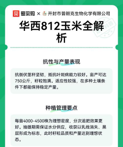 华西812玉米品种介绍