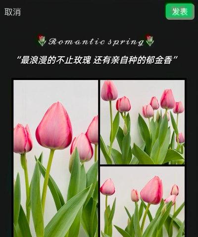 小众送妈妈的花有哪些花