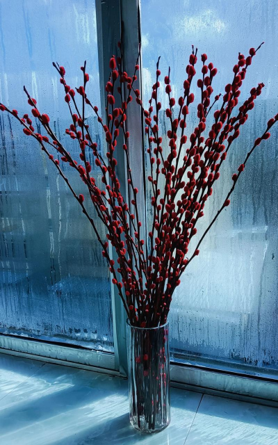 小众送妈妈的花有哪些花