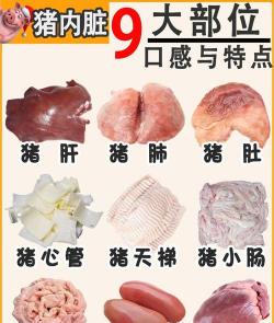 猪生肠是什么器官,哪个部位