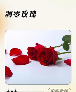 小众送妈妈的花有哪些花