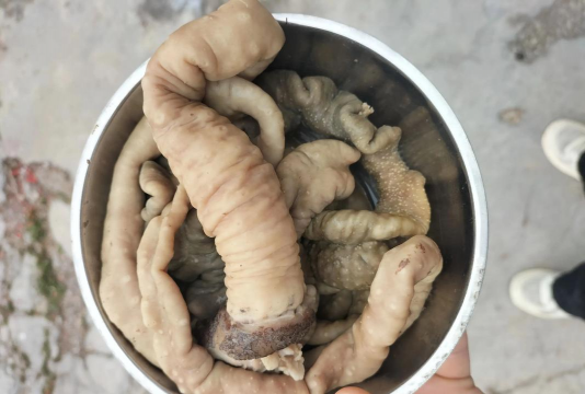 小众送妈妈的花有哪些花