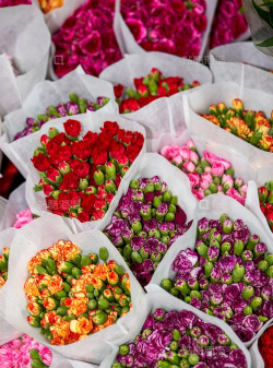 小众送妈妈的花有哪些花