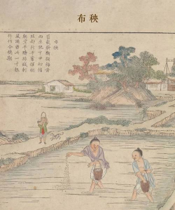 小众送妈妈的花有哪些花