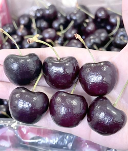 小众送妈妈的花有哪些花