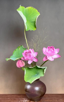 小众送妈妈的花有哪些花