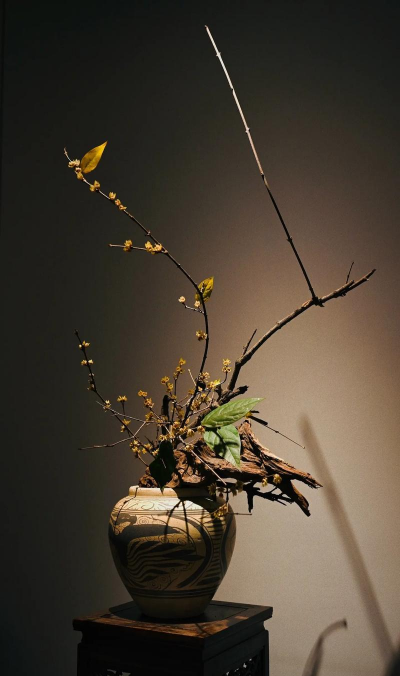 小众送妈妈的花有哪些花