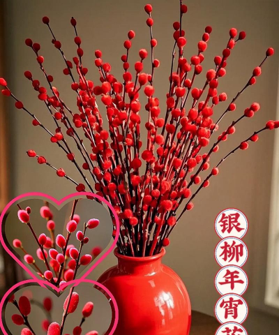 小众送妈妈的花有哪些花