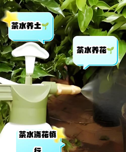 小众送妈妈的花有哪些花