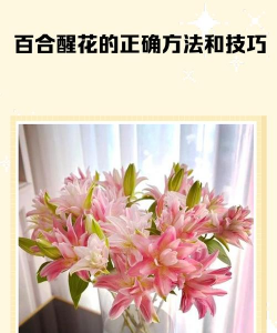 小众送妈妈的花有哪些花