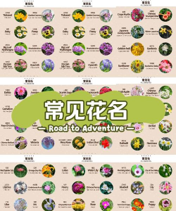 春天开什么花的名字