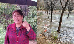 小众送妈妈的花有哪些花