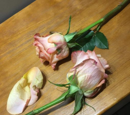 小众送妈妈的花有哪些花