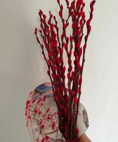 小众送妈妈的花有哪些花