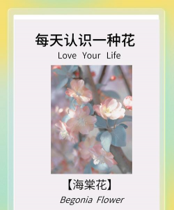 小众送妈妈的花有哪些花