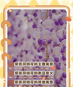 小众送妈妈的花有哪些花