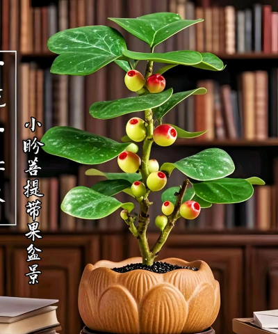 小众送妈妈的花有哪些花