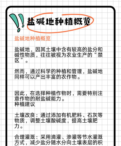 盐碱地适合种什么