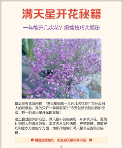 小众送妈妈的花有哪些花