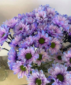 小众送妈妈的花有哪些花