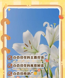 小众送妈妈的花有哪些花