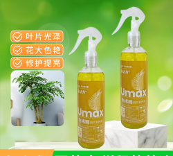 小众送妈妈的花有哪些花