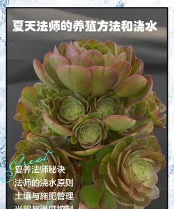 小众送妈妈的花有哪些花