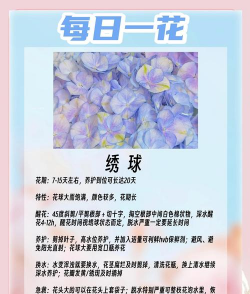绣球花花期多久 绣球花花期多久