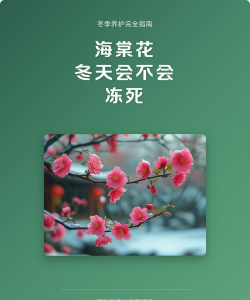 小众送妈妈的花有哪些花