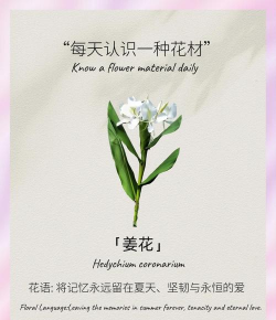 小众送妈妈的花有哪些花
