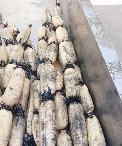 小众送妈妈的花有哪些花