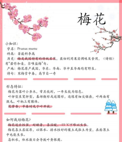 小众送妈妈的花有哪些花