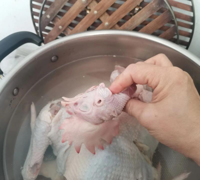 小众送妈妈的花有哪些花