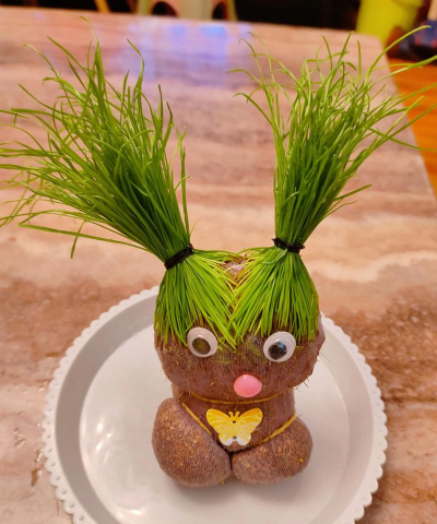 小众送妈妈的花有哪些花