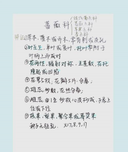 小众送妈妈的花有哪些花