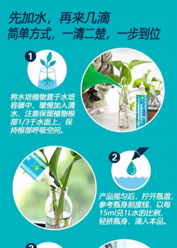 小众送妈妈的花有哪些花