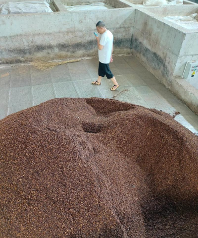 小众送妈妈的花有哪些花