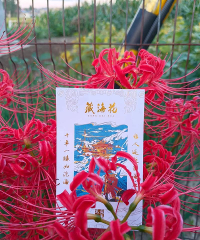 小众送妈妈的花有哪些花