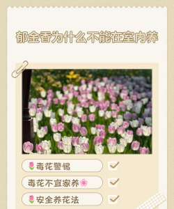 小众送妈妈的花有哪些花