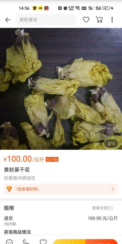 黄秋葵花一斤多少钱