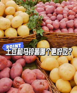马铃薯是土豆还是红薯